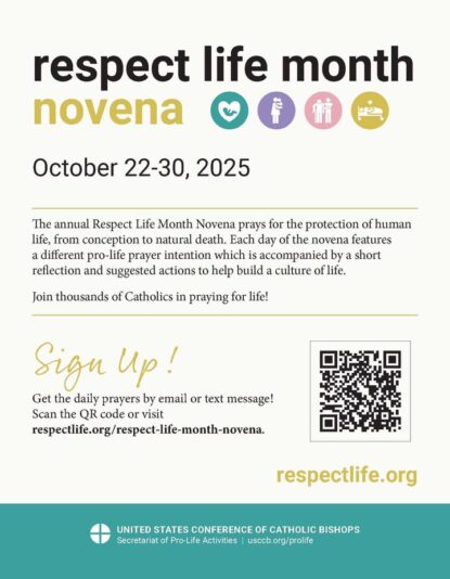 fb-421263834587148_1307461768090456