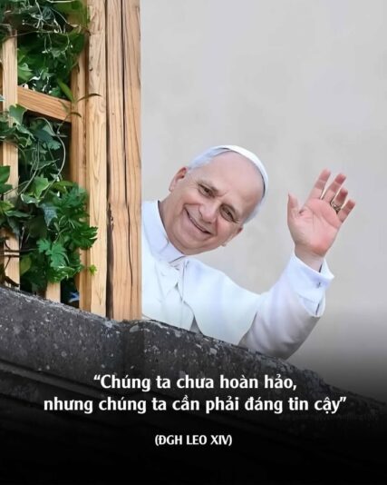 fb-732768673513037_1132585115665038