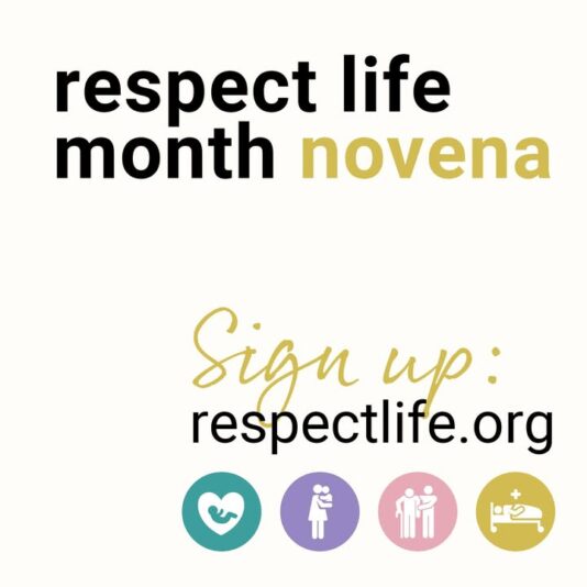 fb-97310663246_1228210139352430