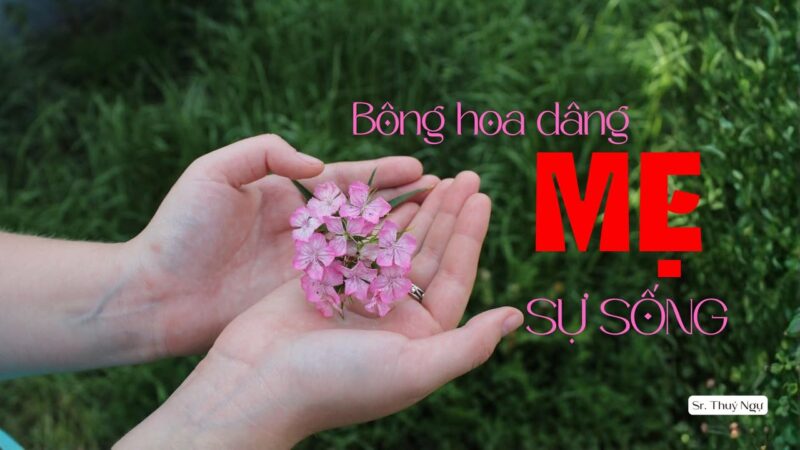 fb-732768673513037_1133778048879078