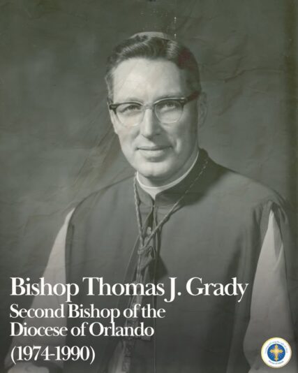 fb-216956945061_1252597560242941