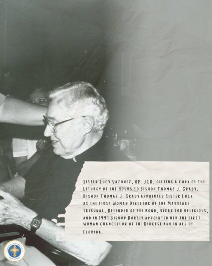 fb-216956945061_1252597560242941