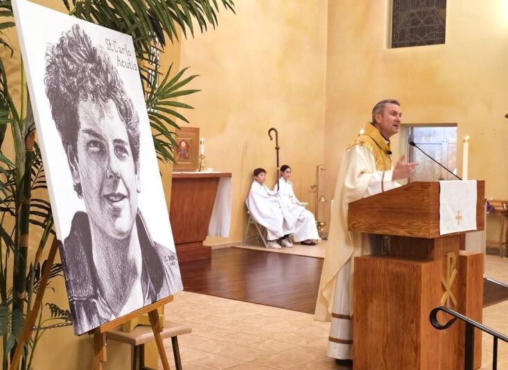 fb-267652796676847_1219351263561574