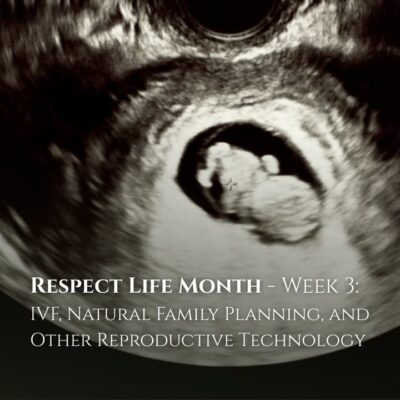 fb-116343758405910_1249369493887289