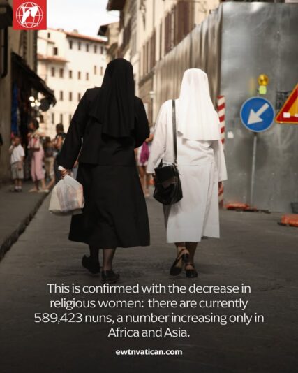 fb-102184176501775_1217356257105525