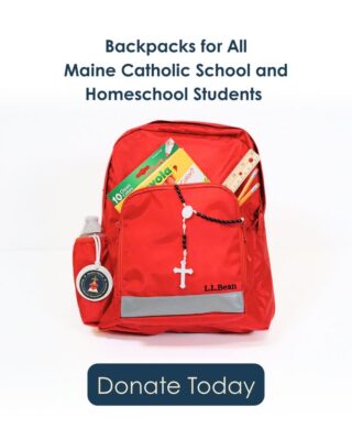 fb-116343758405910_1250989920391913