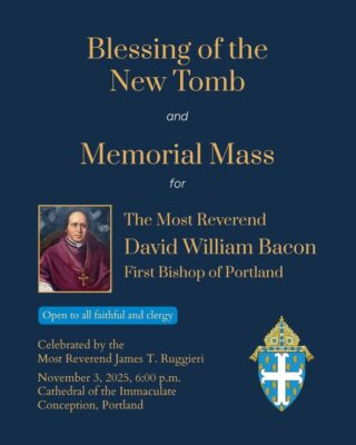 fb-116343758405910_1251841123640126