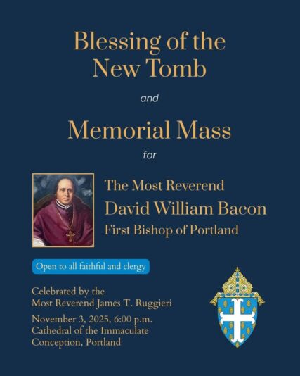 fb-116343758405910_1251841123640126