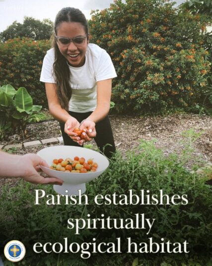 fb-216956945061_1255391373296893