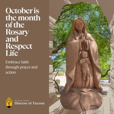 fb-105215447933539_1116268704051333