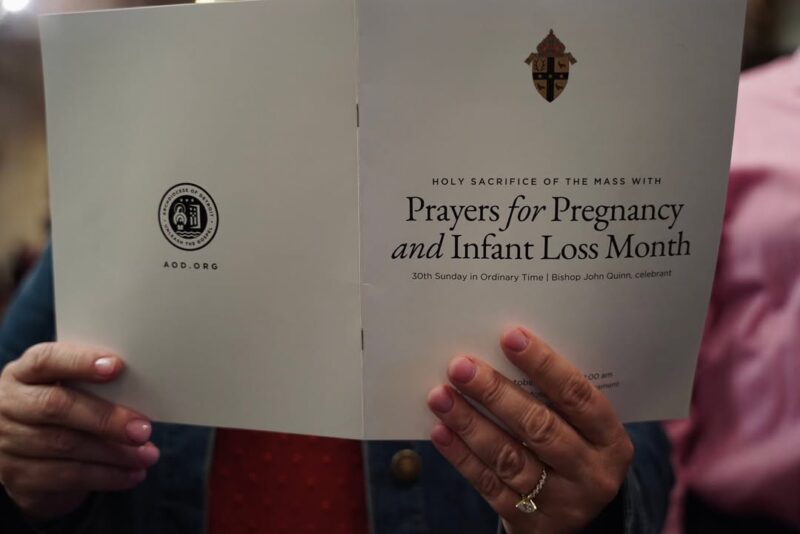 fb-167312016654090_1222344826593784