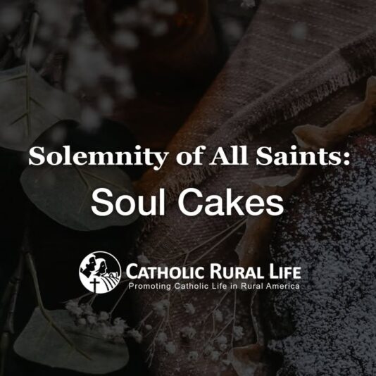 fb-101064066621857_1143387947917130