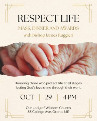 fb-116343758405910_1254508540040051