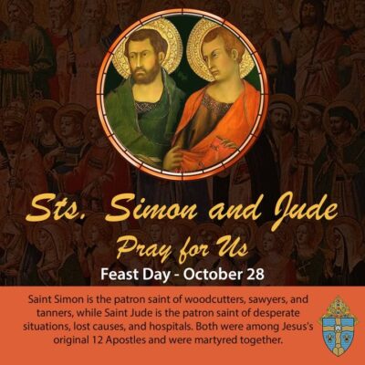 fb-267652796676847_1224496713047029