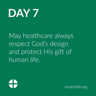 fb-162230245392_1282562137241039