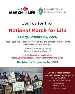 fb-116343758405910_1255312626626309