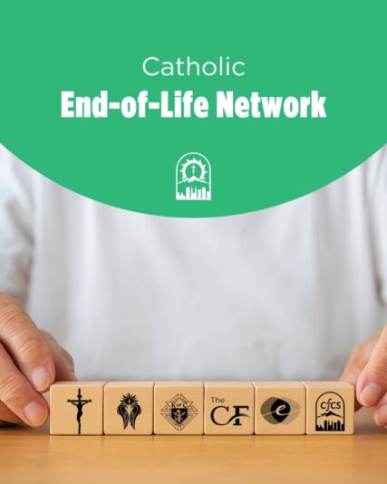 fb-289700111469457_1256914559816313