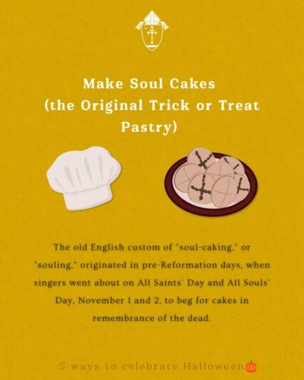 fb-49347972598_1269062888592872