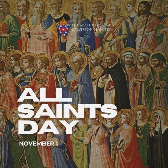 fb-178757502156824_1144738197799416