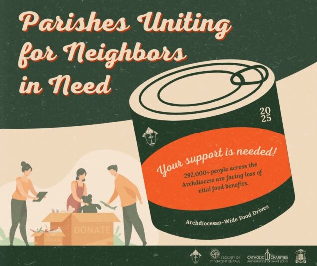 fb-49347972598_1269945528504608