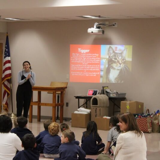 fb-116343758405910_1256933823130856