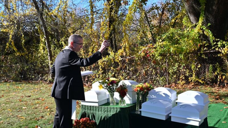 fb-116343758405910_1257082623115976