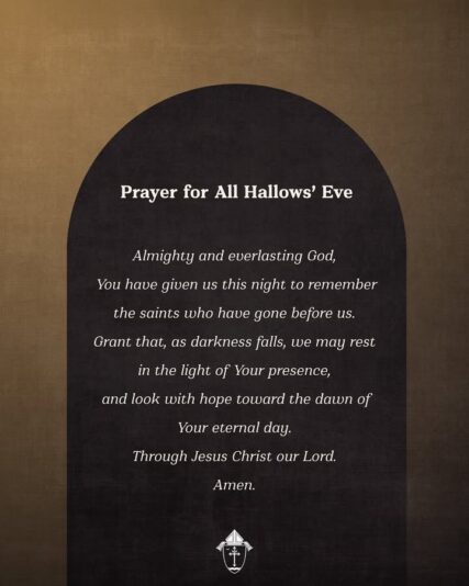 fb-49347972598_1270784681754026