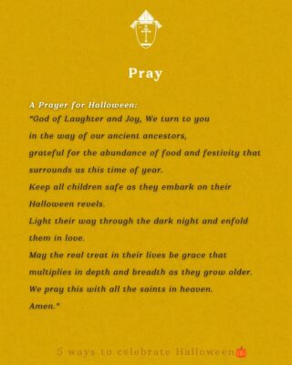 fb-49347972598_1270885535077274