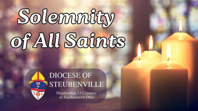 fb-199588210391012_1150155027310322