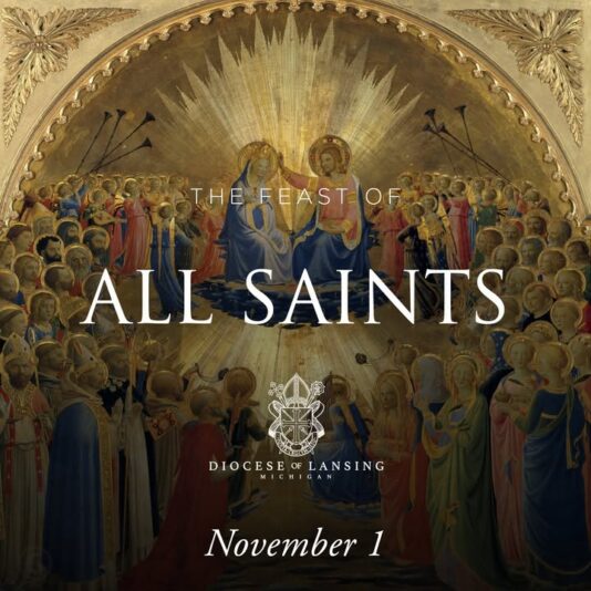 fb-210323997912_1225320106293966