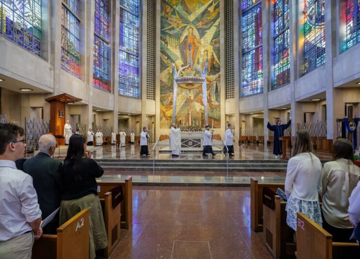 fb-424801330909662_1262293225924352