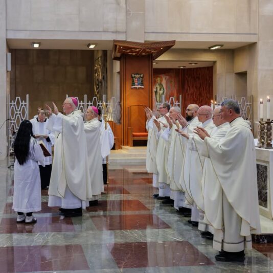 fb-424801330909662_1262293225924352