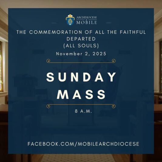 fb-1669188376658004_1461478815978443