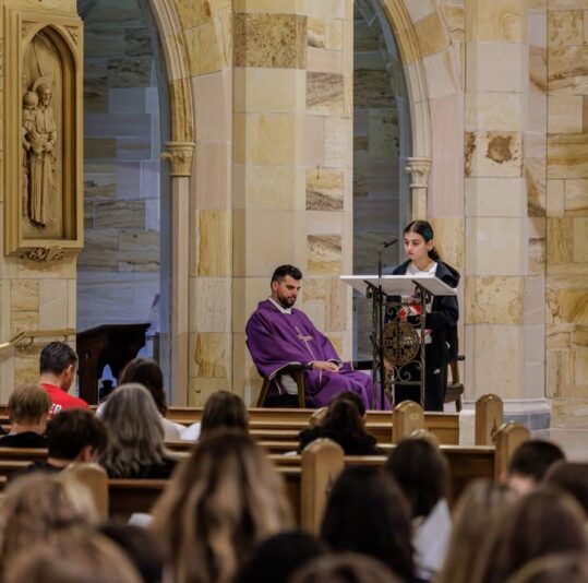 fb-424801330909662_1262772242543117