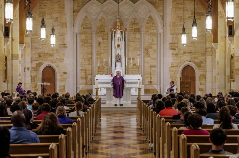 fb-424801330909662_1262772242543117