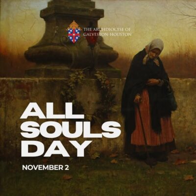 fb-178757502156824_1146960517577184