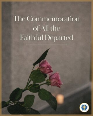 fb-216956945061_1262472232588807