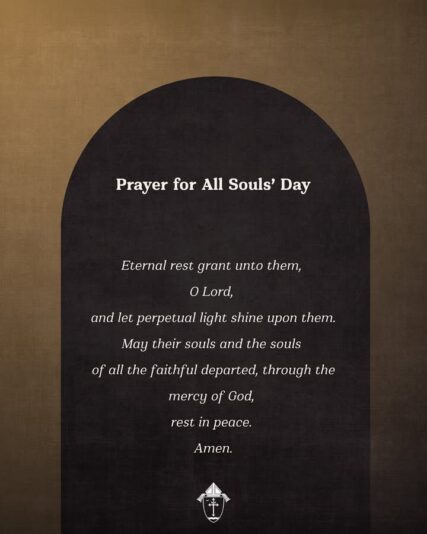 fb-49347972598_1272674214898406