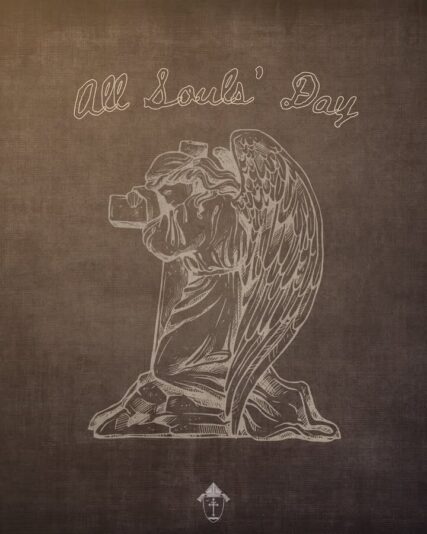 fb-49347972598_1272674214898406