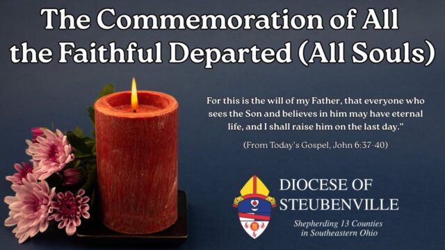 fb-199588210391012_1151113433881148