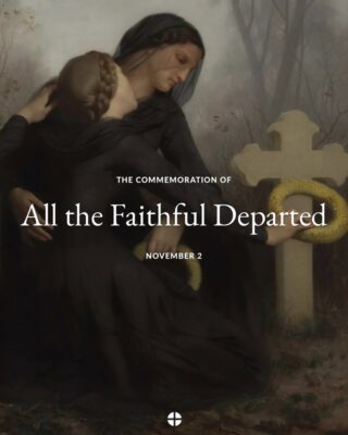 fb-117682098250535_1262804962558803