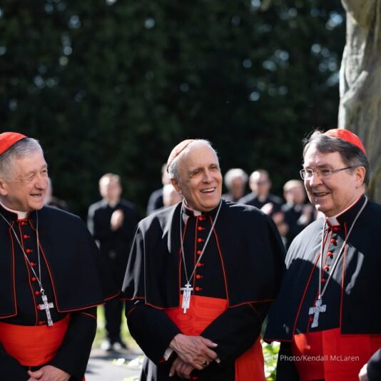 fb-178757502156824_1147279257545310