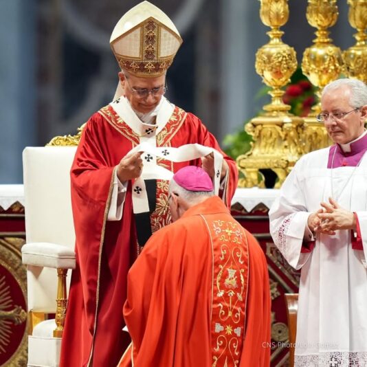 fb-178757502156824_1147279257545310