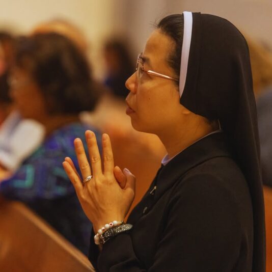 fb-178757502156824_1147279257545310