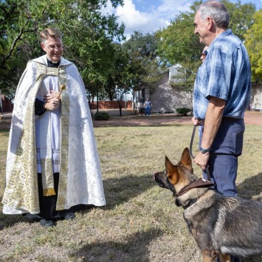 fb-178757502156824_1147279257545310