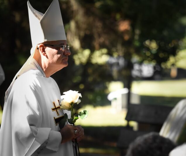 fb-1669188376658004_1462472715879053