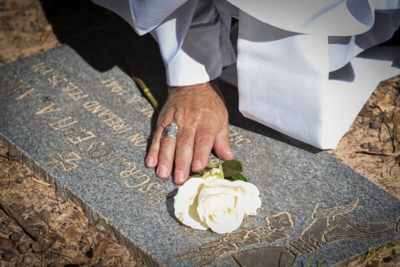 fb-1669188376658004_1462472715879053