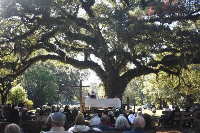 fb-1669188376658004_1462472715879053