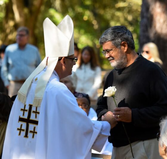 fb-1669188376658004_1462472715879053