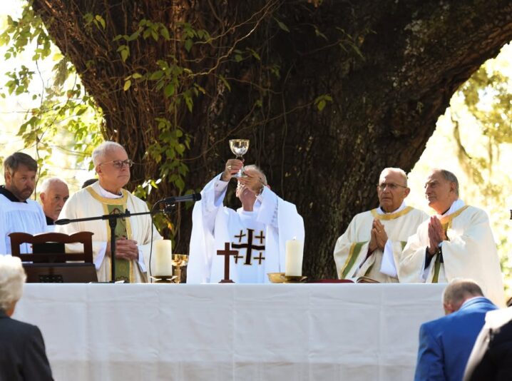 fb-1669188376658004_1462472715879053